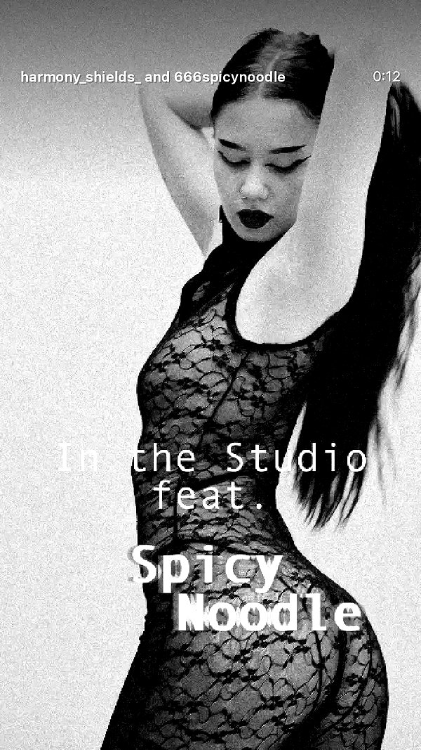 666spicynoodle archive video preview