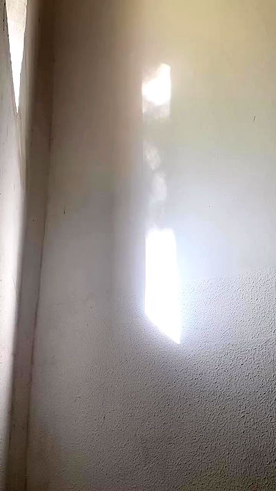 alisa.paigin alisa.paigin archive video