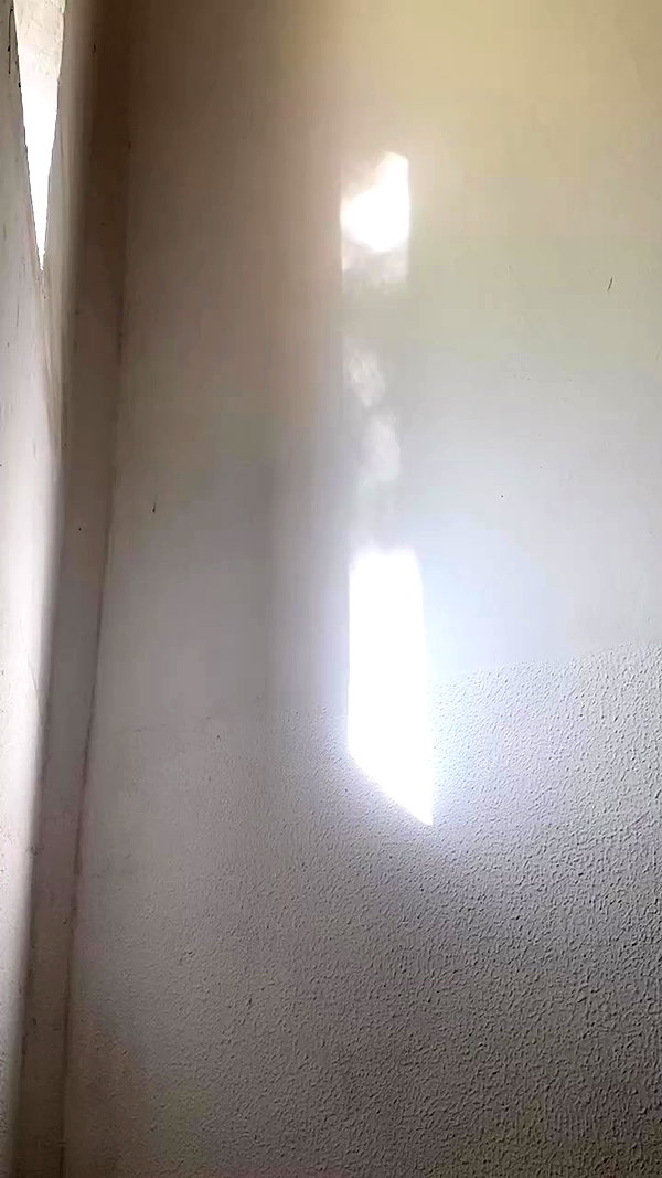 alisa.paigin archive video preview