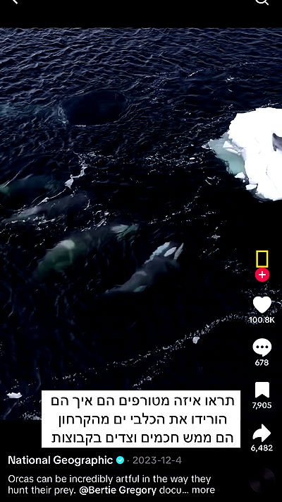 itsilanosh itsilanosh archive video