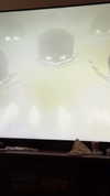 mamyouu_star Altpins Profile Picture