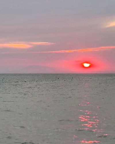 giangg._ giangg._ archive video