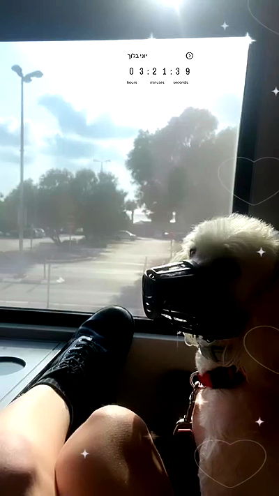 feelbetterinmysweater feelbetterinmysweater archive video