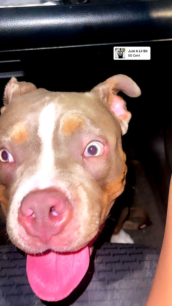 kesemgreenyer archive video preview