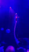 zoe.glover Altpins Profile Picture