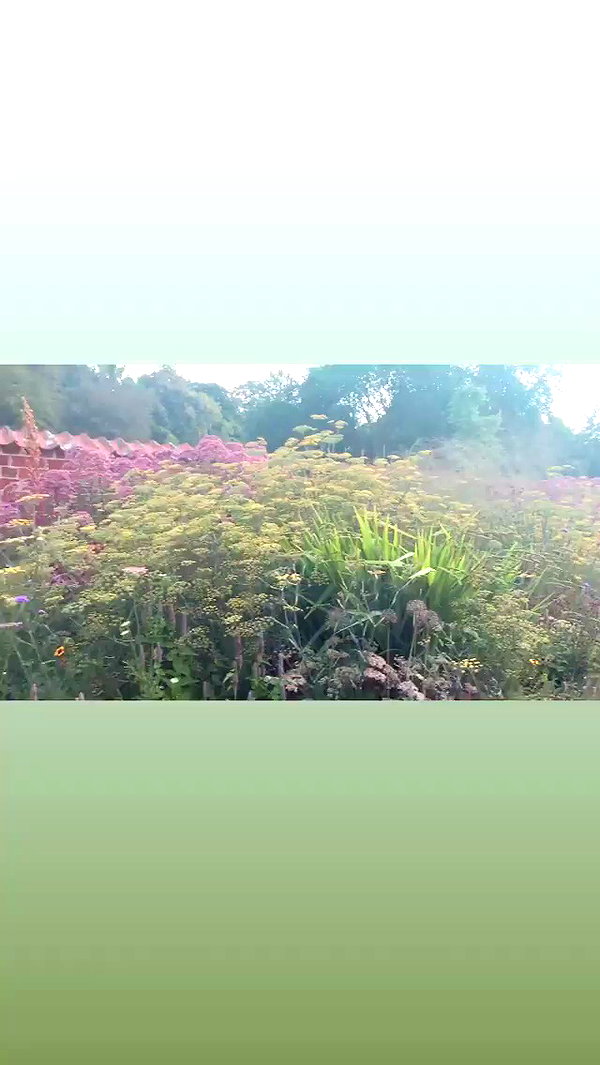 calyen archive video preview