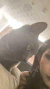 nylthria Altpins Profile Picture