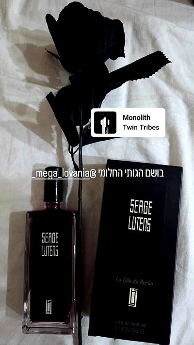 avital_1010.2003 avital_1010.2003 archive video