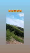 sins_n_stuff Altpins Profile Picture