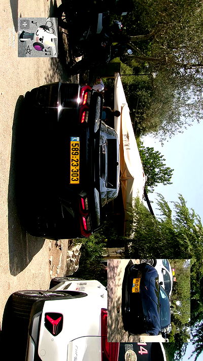 simp_for_cats_ simp_for_cats_ archive video