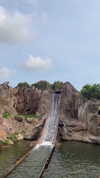 shelly_roberin Altpins Profile Picture