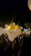 a.shaked_ Altpins Profile Picture