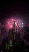 j.yce Altpins Profile Picture