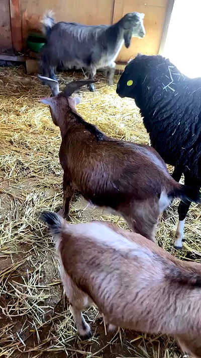 feelbetterinmysweater feelbetterinmysweater archive video