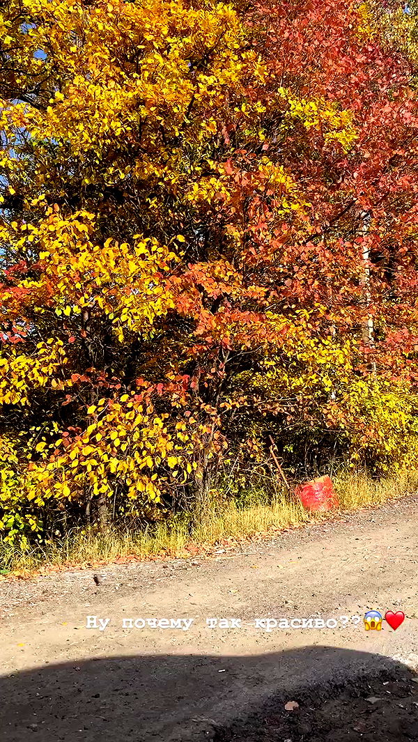 nyityam archive video preview