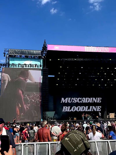 edin.karyn edin.karyn archive video