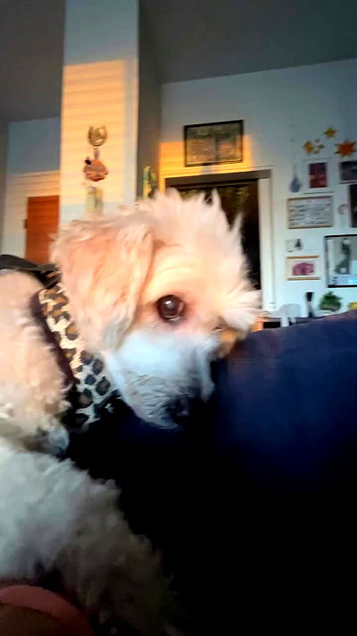 feelbetterinmysweater feelbetterinmysweater archive video