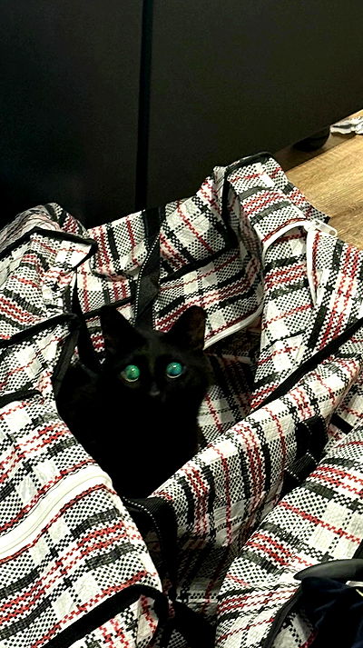 avitallllllllllllllll avitallllllllllllllll archive video