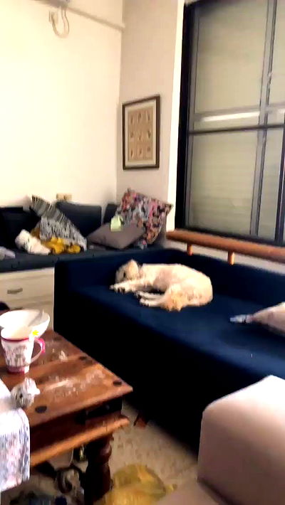 feelbetterinmysweater feelbetterinmysweater archive video