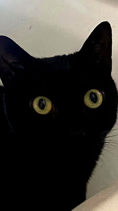 feelbetterinmysweater feelbetterinmysweater archive video