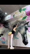 xiaoxiao_io Altpins Profile Picture