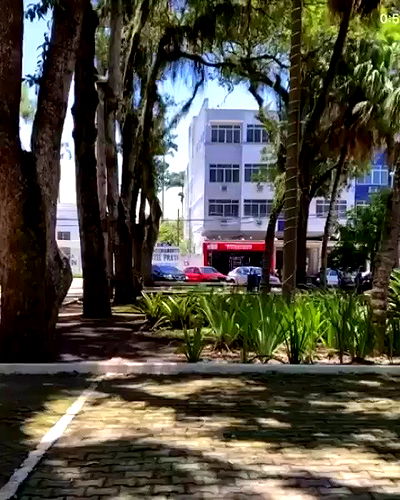 tiliaoficial tiliaoficial archive video