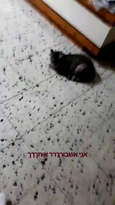 neomiconrad neomiconrad archive video