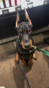miss_baby007 Altpins Profile Picture