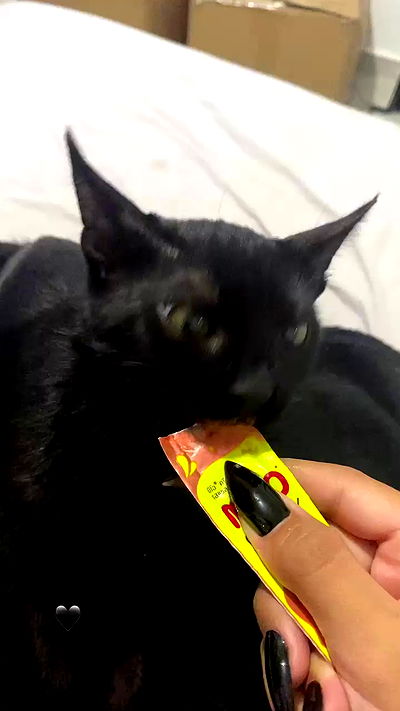 rebecka_tsadok rebecka_tsadok archive video