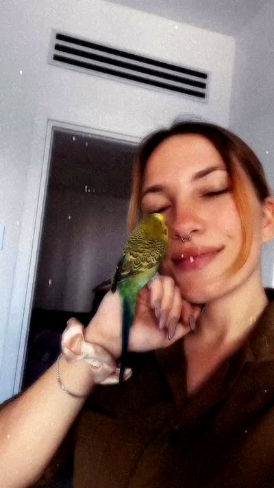 tinapavlov.sky tinapavlov.sky archive video