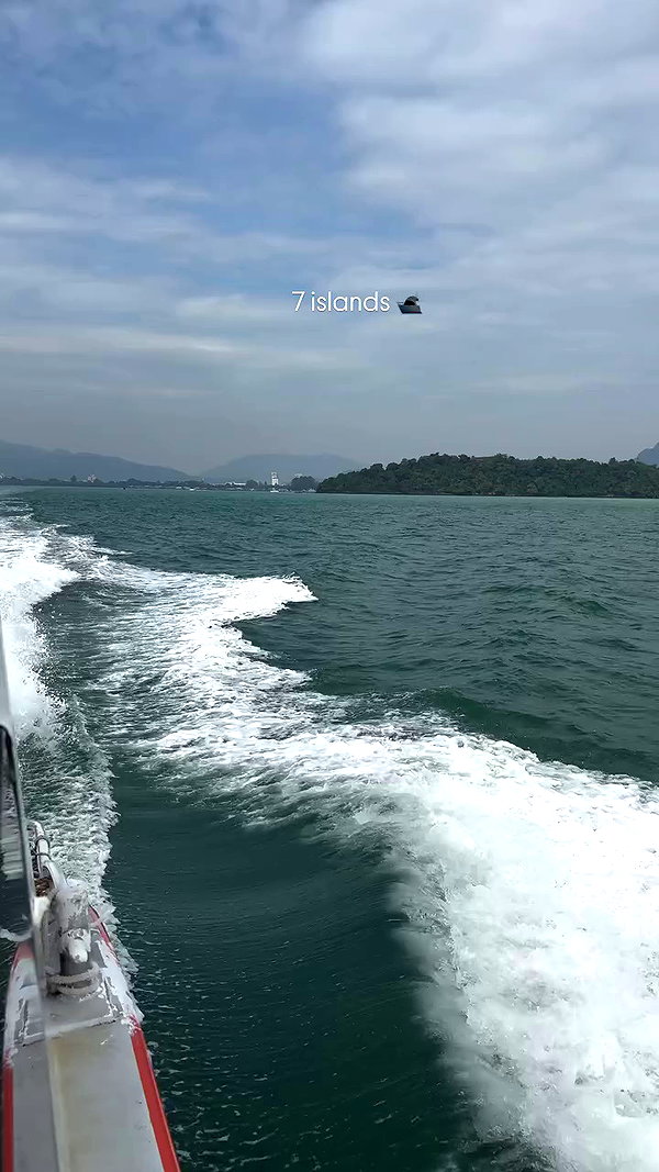 noammalka___ archive video preview