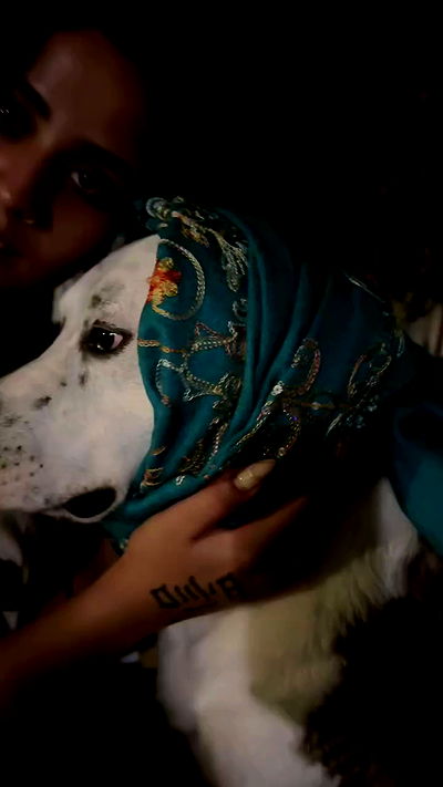 romy_ayalla_lavi romy_ayalla_lavi archive video