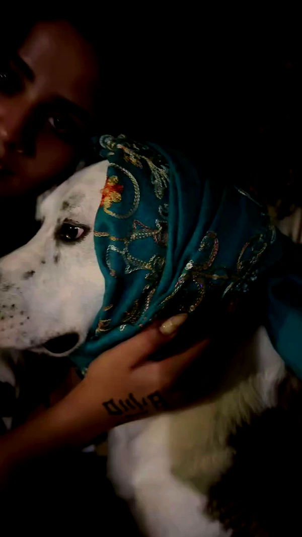 romy_ayalla_lavi archive video preview