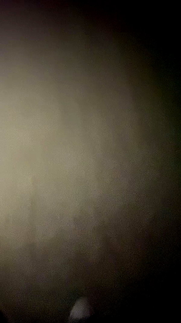 pawxai archive video preview