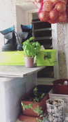6a1it Altpins Profile Picture
