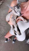 keli_ezra Altpins Profile Picture