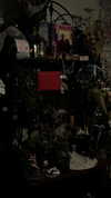 estr3iia Altpins Profile Picture