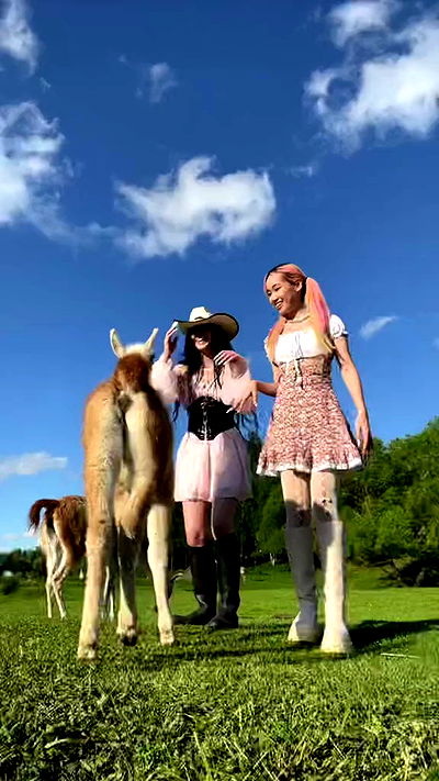 nevaaadaa nevaaadaa archive video