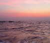 noa_mendel_ Altpins Profile Picture