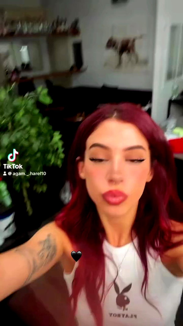 agam._.harel archive video preview