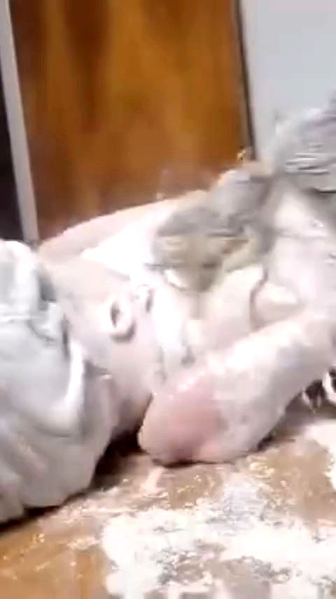 erotocomatose archive video preview