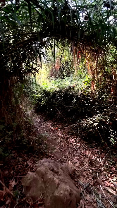 feelbetterinmysweater feelbetterinmysweater archive video