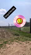 zz.eazoning Altpins Profile Picture