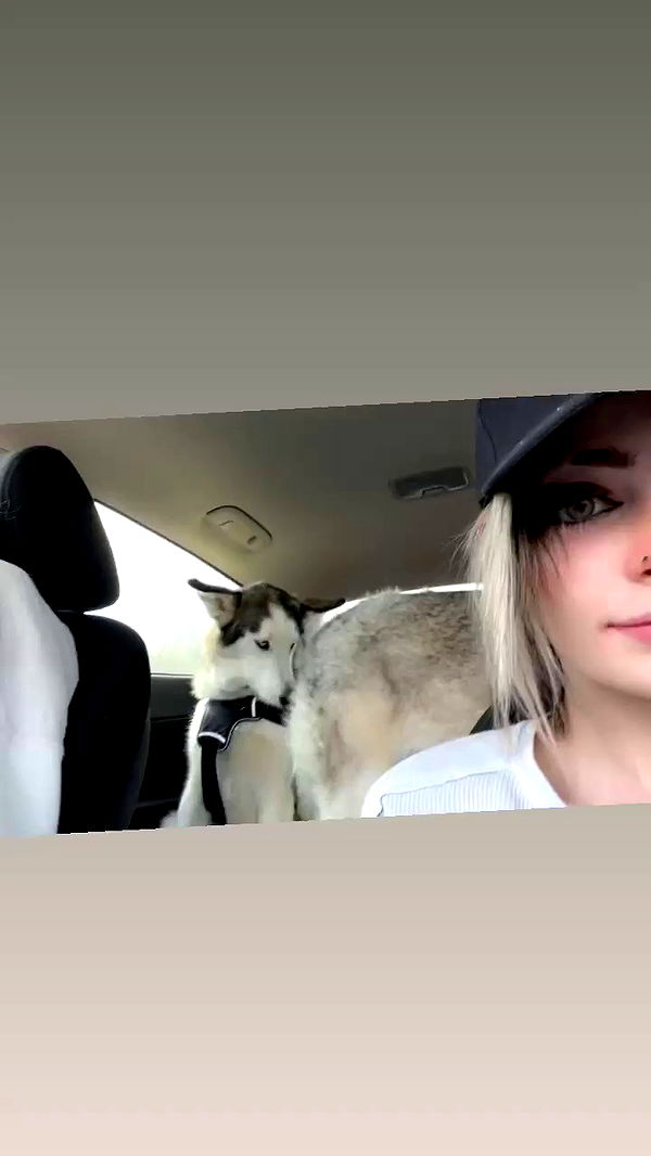 _animechika_ archive video preview