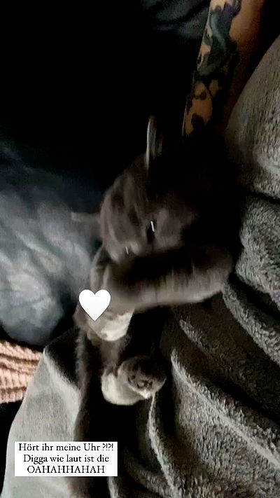 yoo.mon yoo.mon archive video