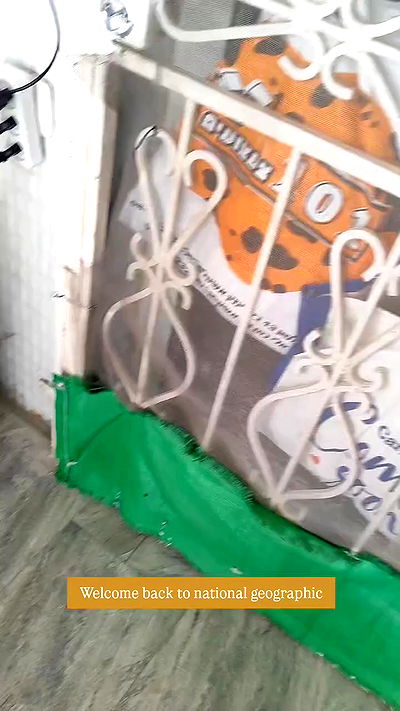 1justsabi 1justsabi archive video