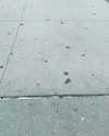 masood_boomgaard Altpins Profile Picture