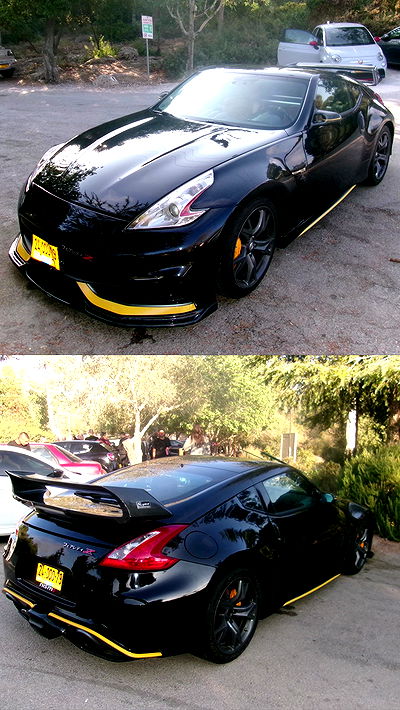 simp_for_cats_ simp_for_cats_ archive video