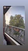 shirpeleg._ Altpins Profile Picture