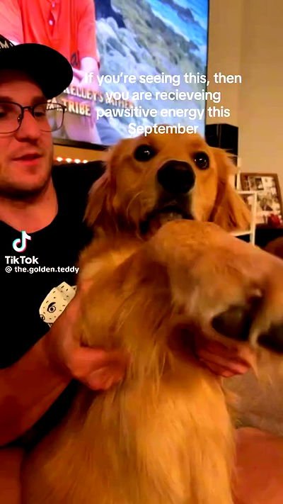 sabrinacarpenter sabrinacarpenter archive video